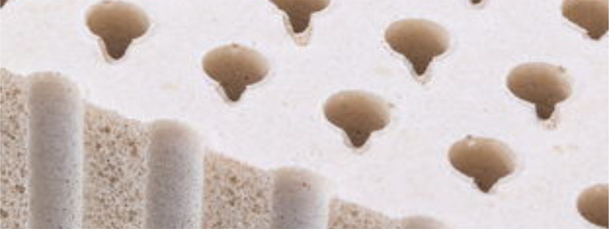 Organic mattress Phoenix Electropedic